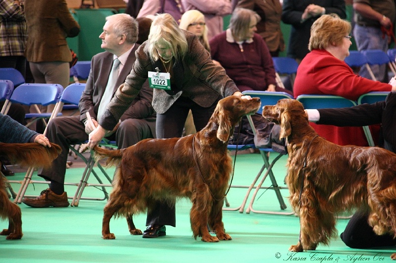 Crufts2011 006.jpg